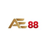 ae88vkzinnet