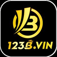 vin123b