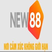 new88blogorg 0
