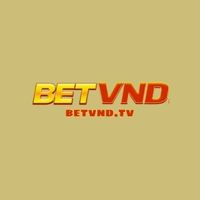 betvndtv