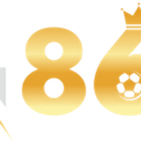 Vn86info