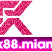 nohutx88