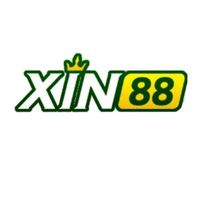 xin88expert1