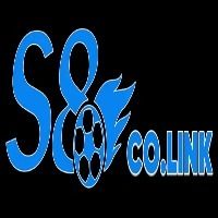 S8colink