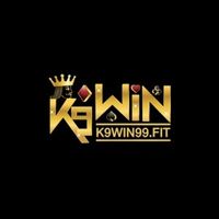 k9win99fit