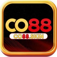 co88skin