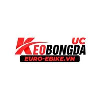 euroebikevn1