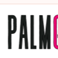 palmbaytowing1vn