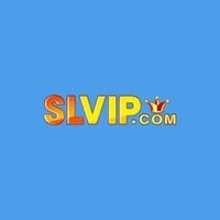slvip2888cncom
