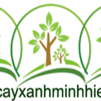 cayxanhminhhieurarkrf