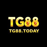 Tg88today