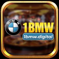 1bmwdigital1