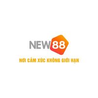 New88info2025