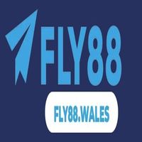 fly88wales1