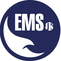 eaglemanagementservices