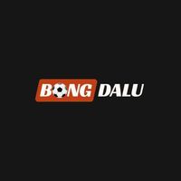 bongdaluautos