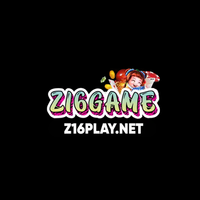 z16playnet1