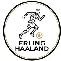 erlinghaalandnet