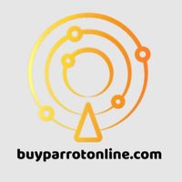 buyparrotonline