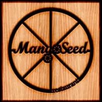 mangoseedrestaurant
