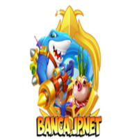 Bancajpnet1