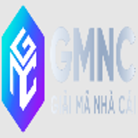 Gmncinfo1vn