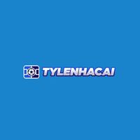 Tylenhacaiinnet