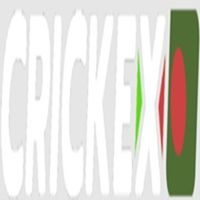 crickexcasin