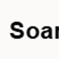 SoaredAI