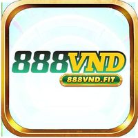 888vndfit
