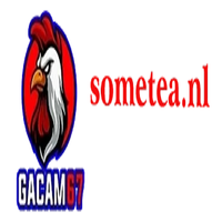 gacam67sometea