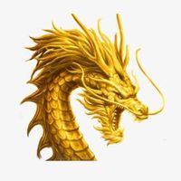 rongbachkimchuanxac100