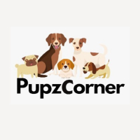 pupzcorner