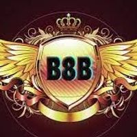 b8b1orgg