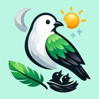 birdsymbolismexplained