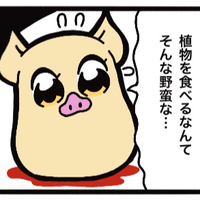 Kamonchi