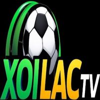 lytuongnetxoilac1
