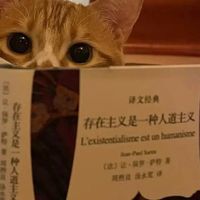 辛玄MONV
