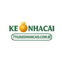 tylekeonhaca1vn