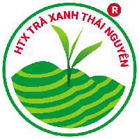 trathainguyen