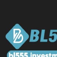 bl555investments