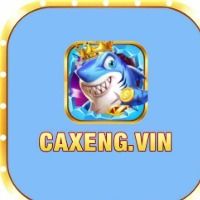 caxengitcom