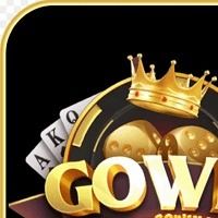 gowinusorg