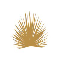 nakedpalmjewellery