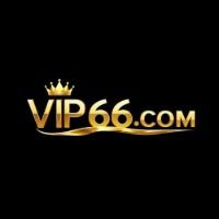 vip66inkk1
