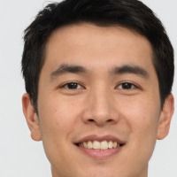 ArisLang