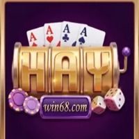 Haywin68com