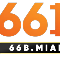 66bmiami9
