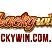 luckywincomco11