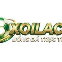xoilactvvlivecom